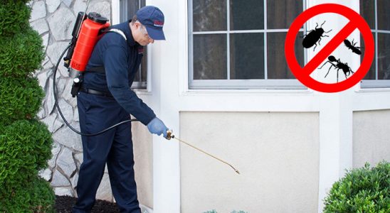 Banaz Bit İlaçlama böcek ilaçlama ve haşere kontrolü — ilaclama-tr.com